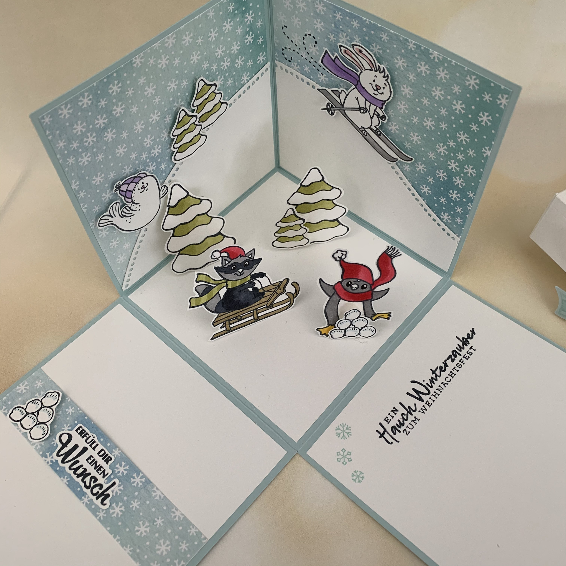Coole Wintergre - Explo Box 4.jpeg